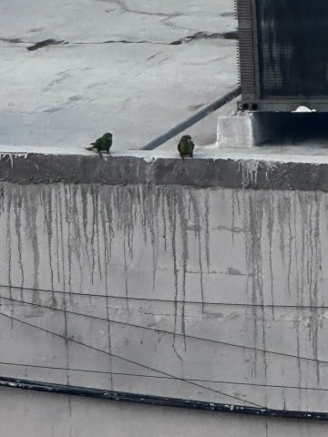 温德姆花园北蒙特雷酒店-度假村/酒店