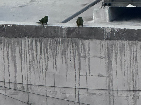 温德姆花园北蒙特雷酒店主图