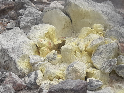 Symbiose Caraibes-Saint-Claude必去景点