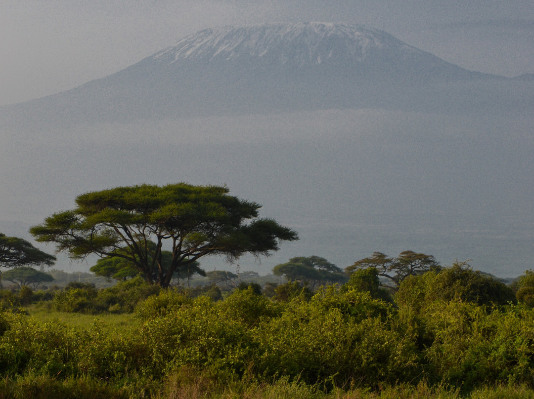 Safari Lenana-瓦塔木必去景点