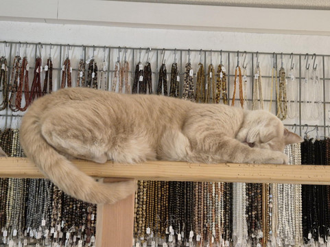 Murten Altstadt-Murten必去景点