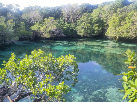 Safari Shwari Mafia Island-Utende必去景点