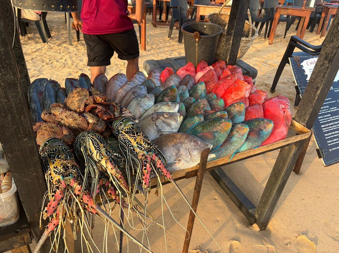 Sri Lanka Round Tour-瓦都瓦必去景点