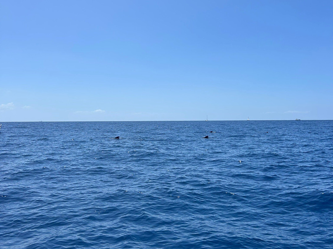 Opera 60 Luxury Charters-奥德杰海岸必去景点