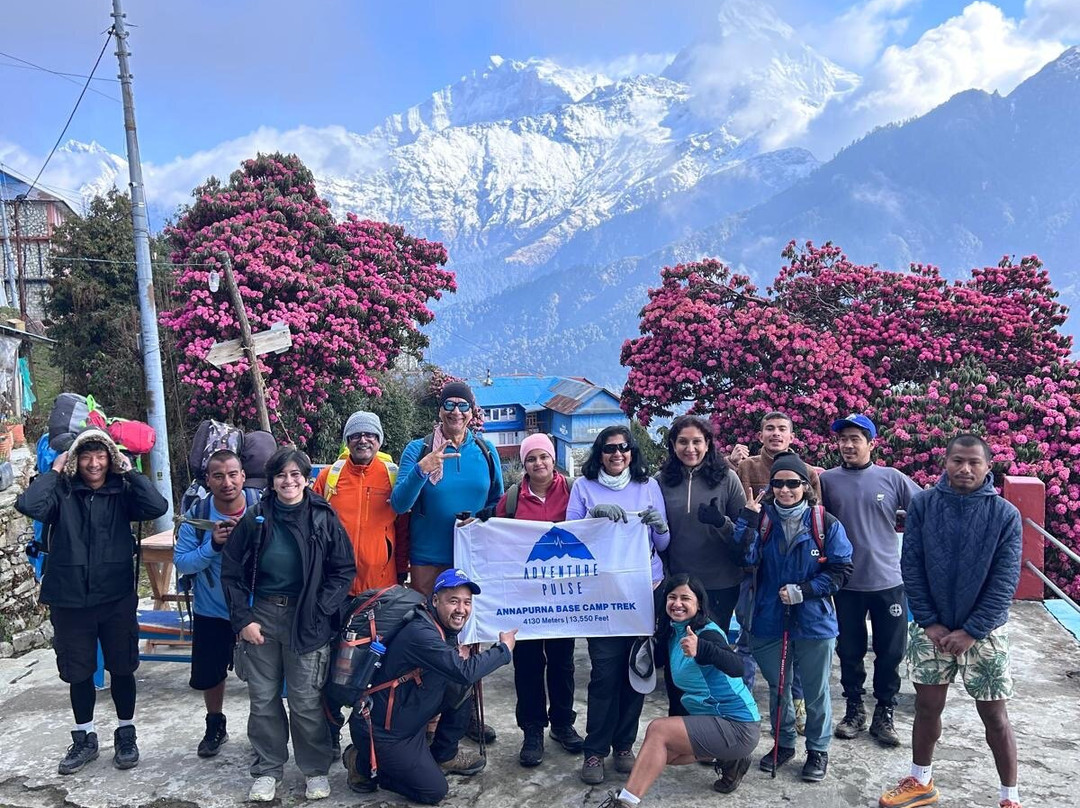 Adventure-Pulse-加德满都必去景点