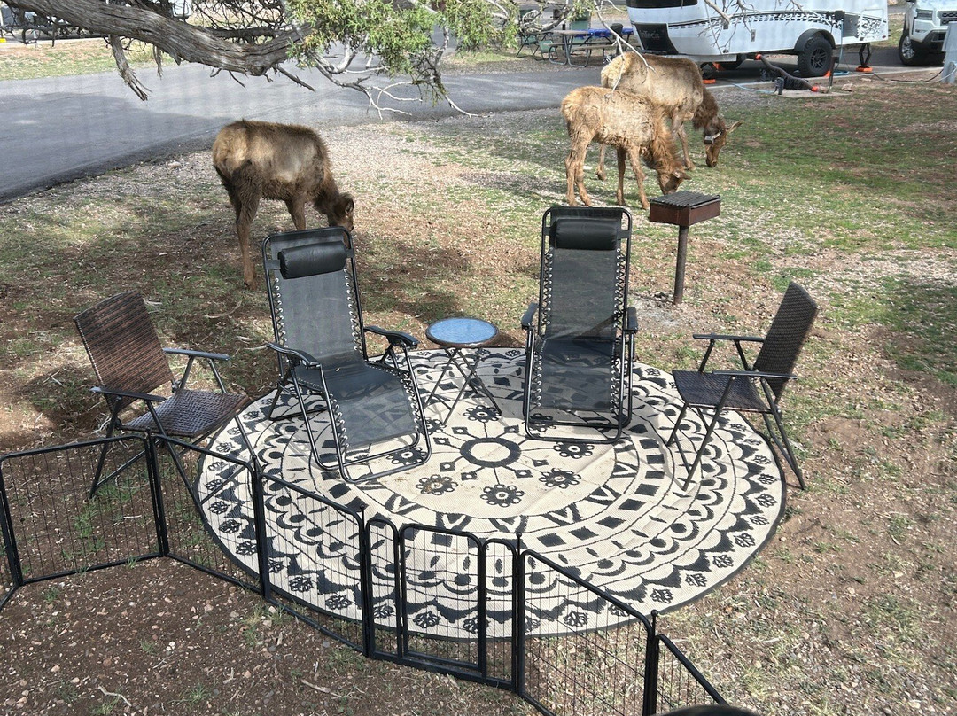 Trailer Village RV Park主图