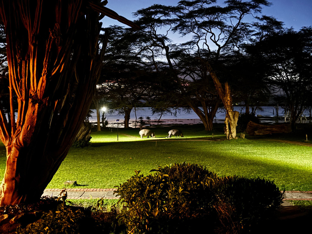 Pollman's Tours & Safaris-蒙巴萨必去景点