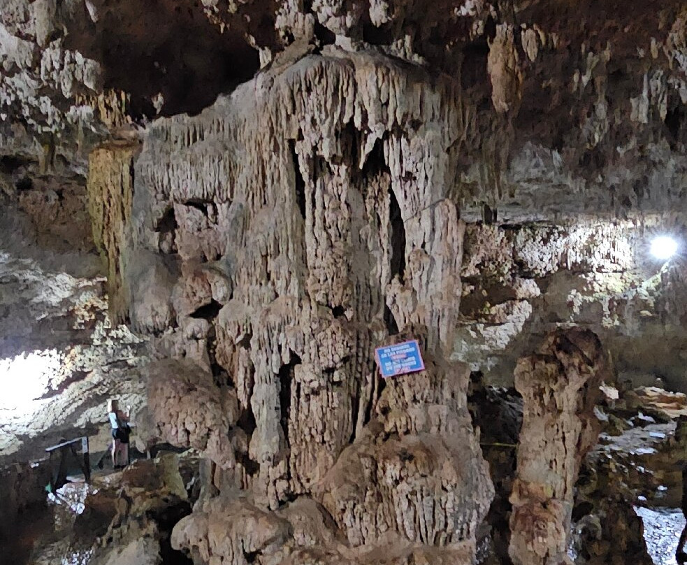 Cenotes Tamcach-Ha & Choo-Ha-Coba必去景点