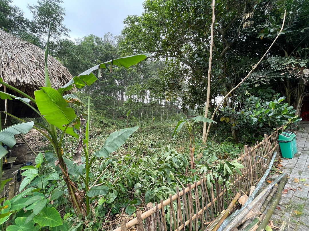 Thai Hai Village-Thai Nguyen必去景点