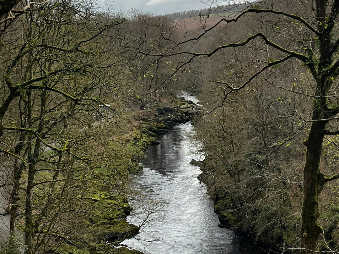 Bolton Abbey Wharfedale-Bolton Abbey必去景点
