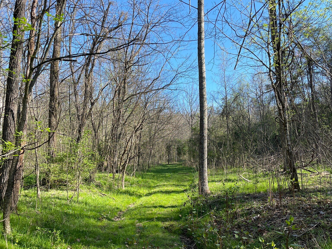 Kingswood Hiking Trail
