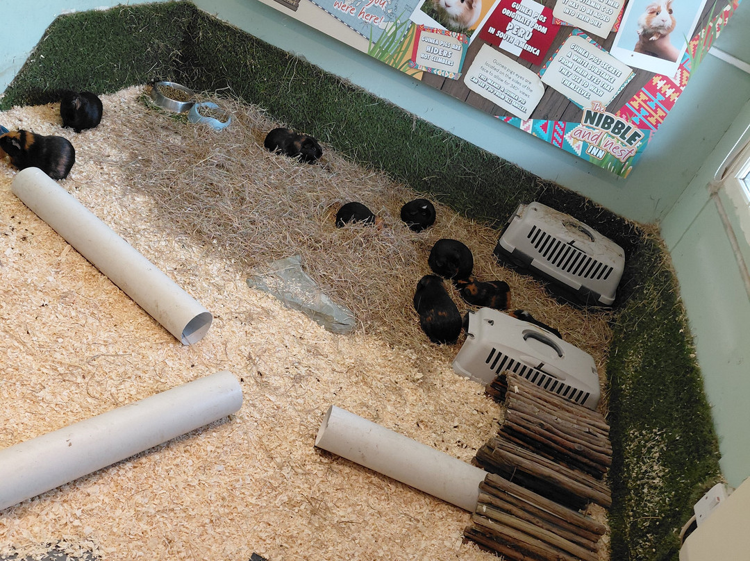 Lee Valley Animal Adventure Park-沃尔萨姆阿比必去景点