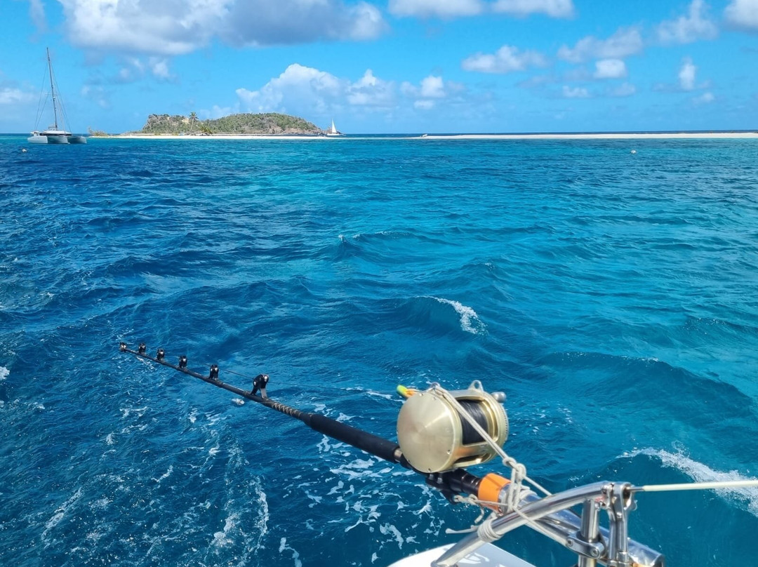 Alex Croisiere Grenadines et Caraibe-Le Marin必去景点