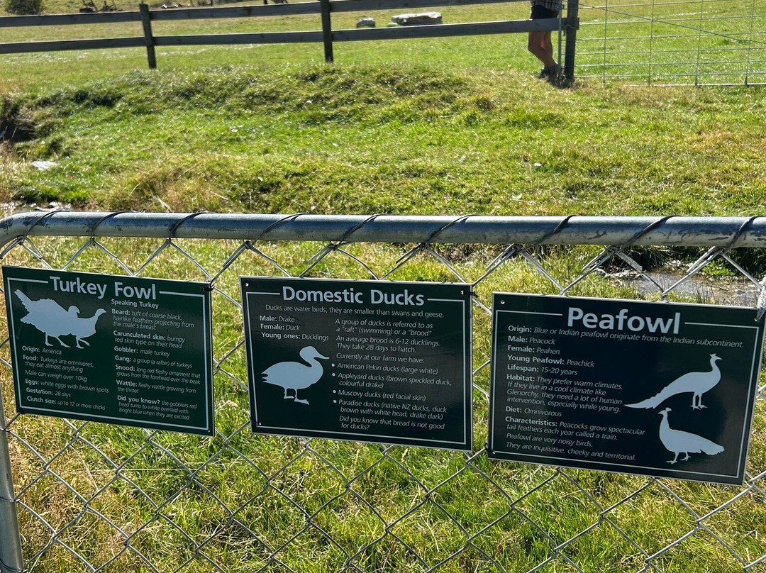 Glenorchy Animal Experience-格伦诺基必去景点