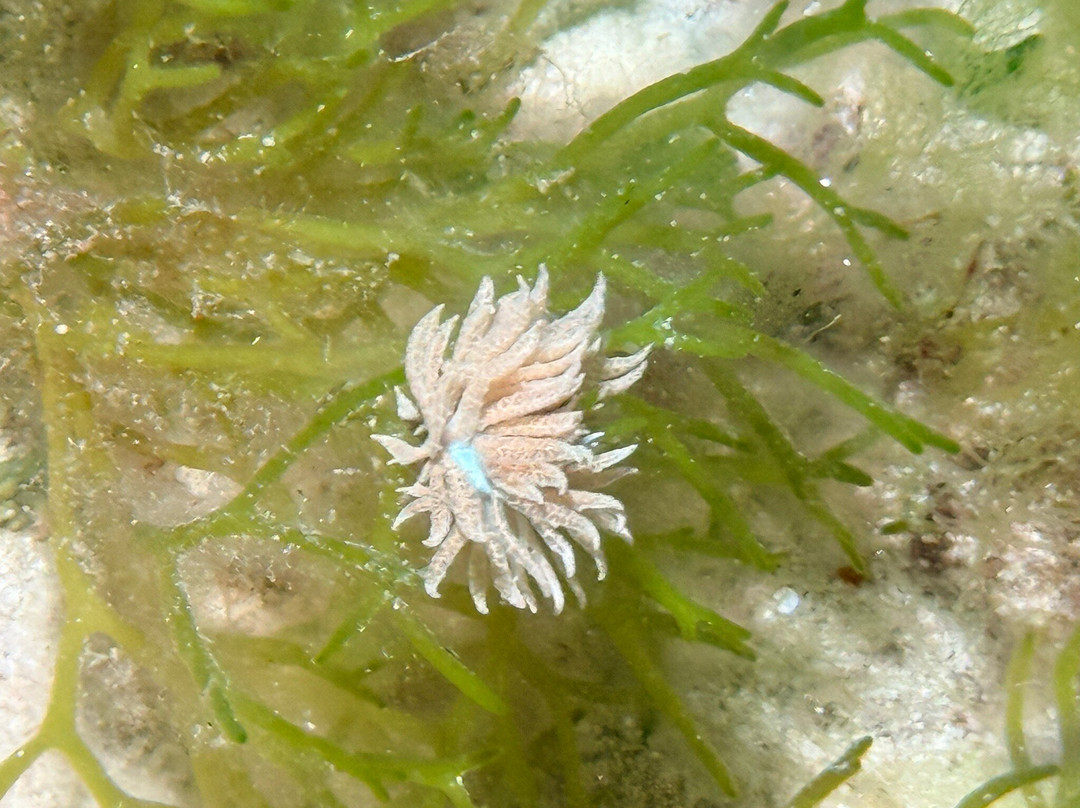 Fun & Sun Dive Travel-妈妈拍丝瓜岛必去景点