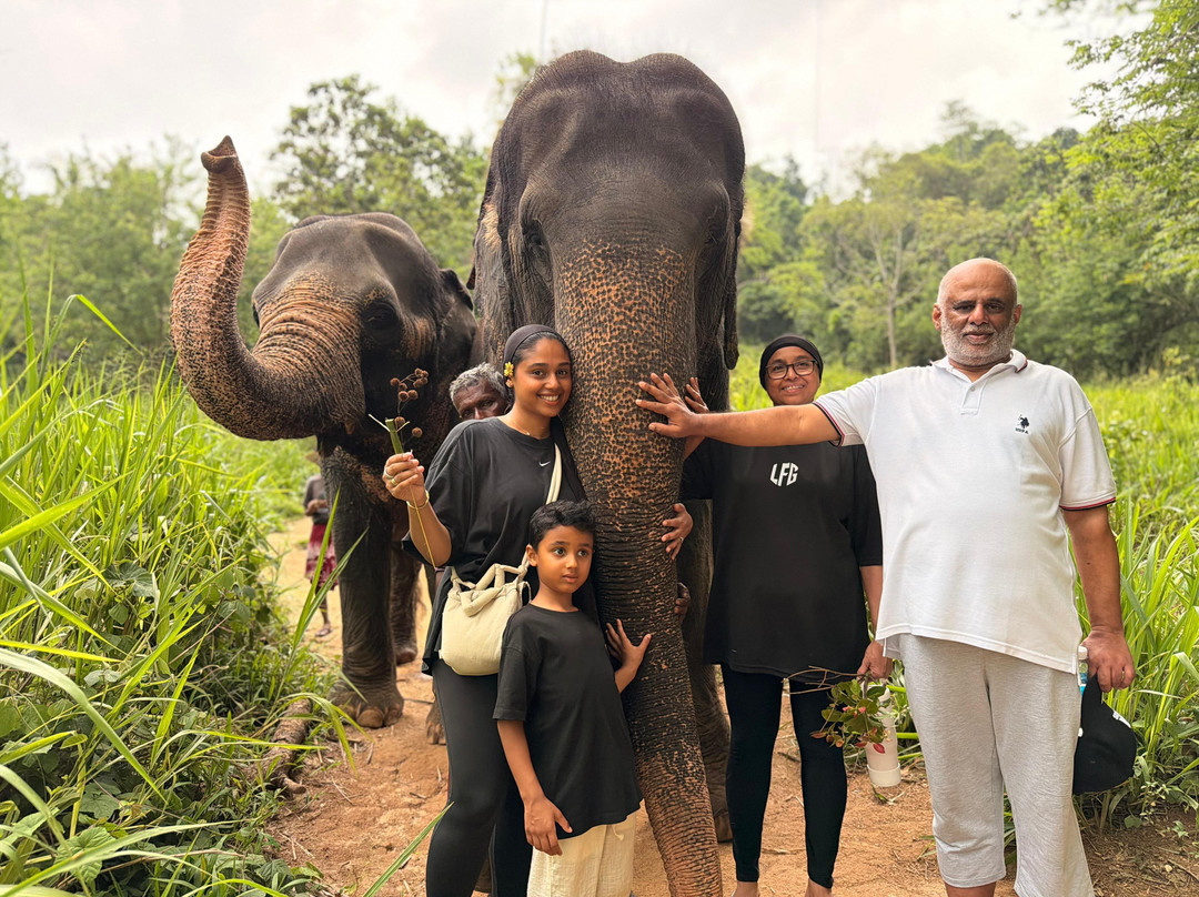 Elephant Freedom Project-凯格勒 必去景点