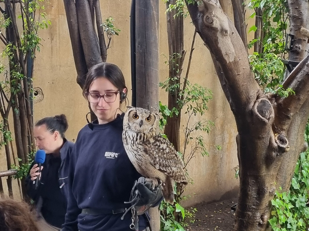 Bioparc Fuengirola-福恩吉罗拉必去景点