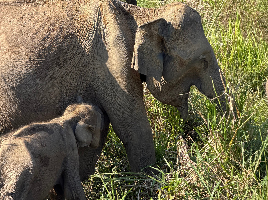 Boutique Sri Lanka-科伦坡必去景点
