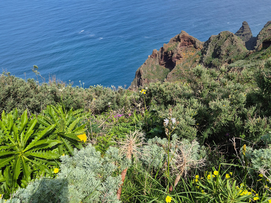 Tenerife Guided Walks-洛斯克里斯蒂亚诺斯必去景点