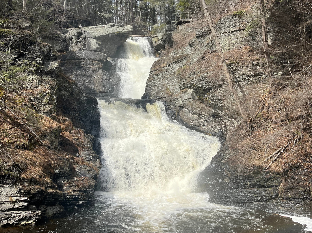 Raymondskill Falls-Milford必去景点