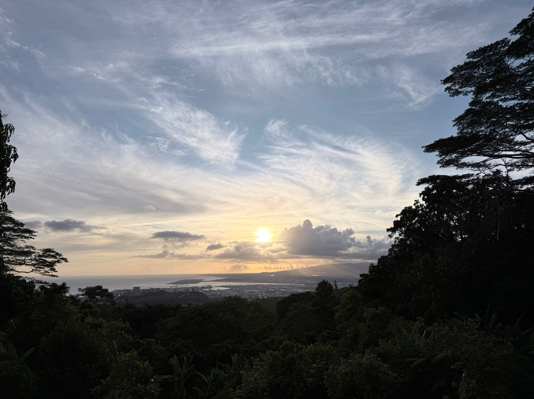 Experience Nutridge-火奴鲁鲁必去景点