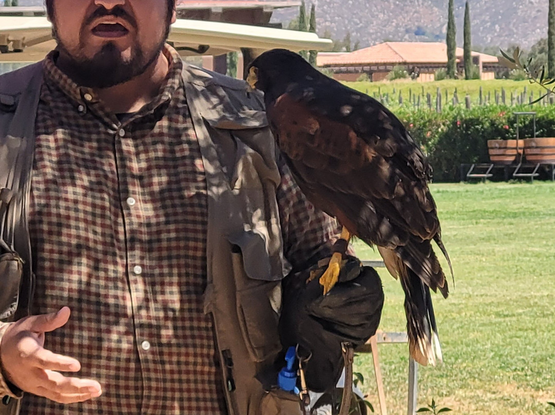 El Cielo Valle de Guadalupe-Valle de Guadalupe必去景点