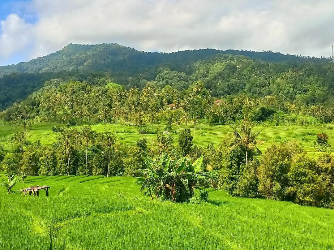 玛哈山度假村 by Mahaprana 体验主图