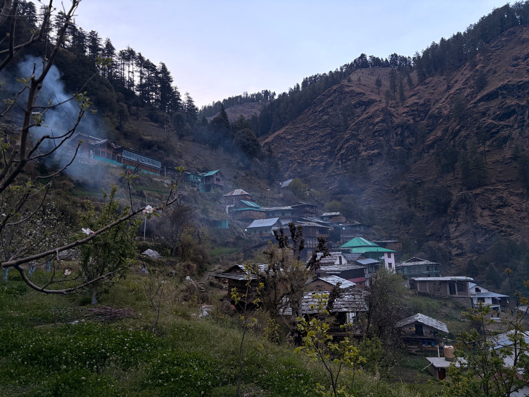 Zostel Homes Laida (Jibhi)-旅行者