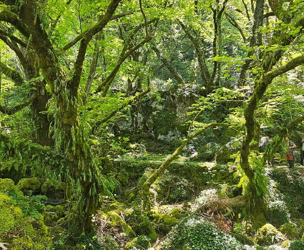 Bosco Del Sasseto-Acquapendente必去景点