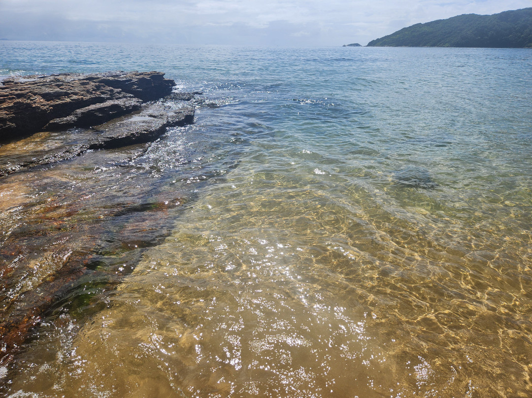 Praia da Tartaruga-布基亚斯必去景点