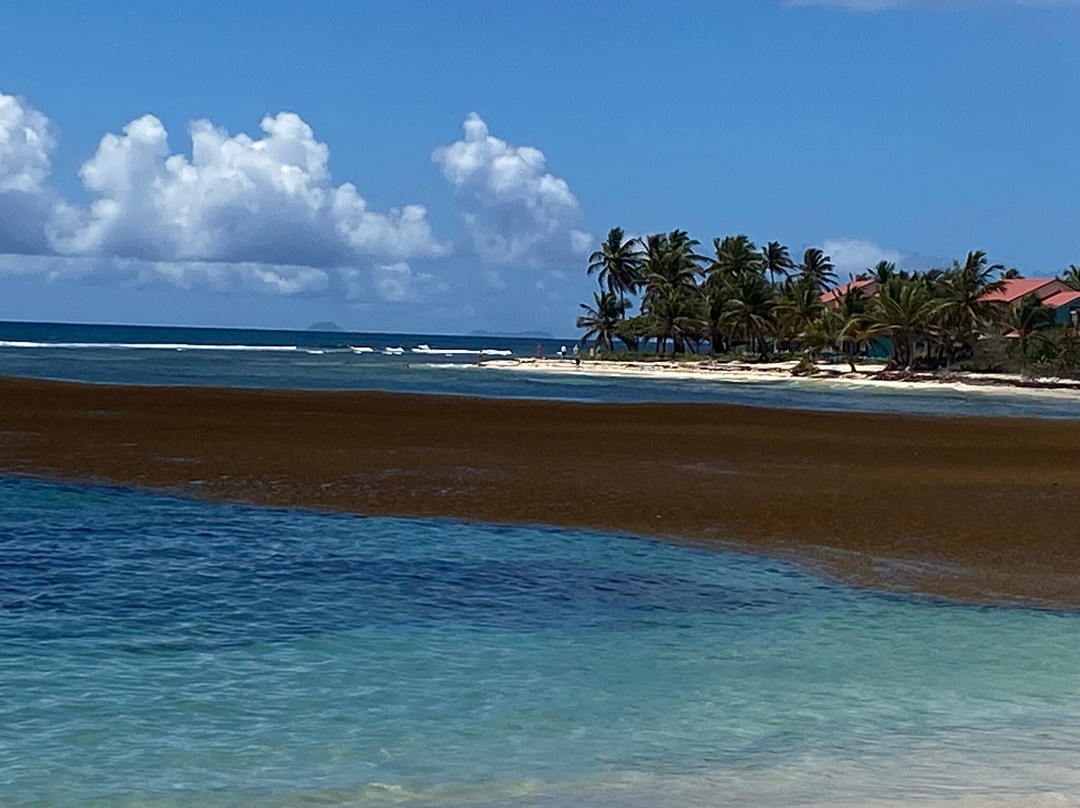 Plage des Raisins Clairs-Saint Francois必去景点