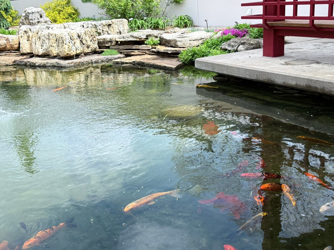 Botanica: The Wichita Gardens-威奇托必去景点