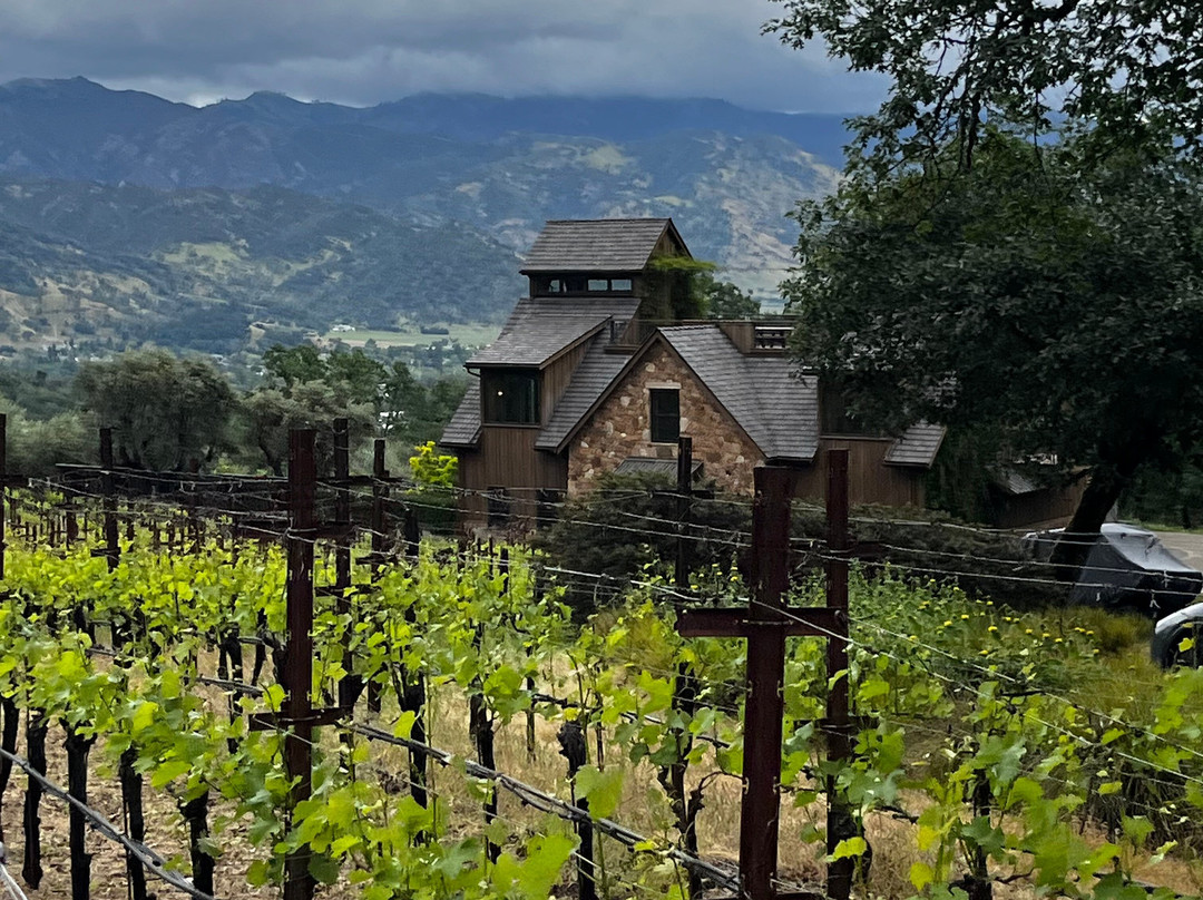 Napa Valley Tours - Why Spit-纳帕必去景点