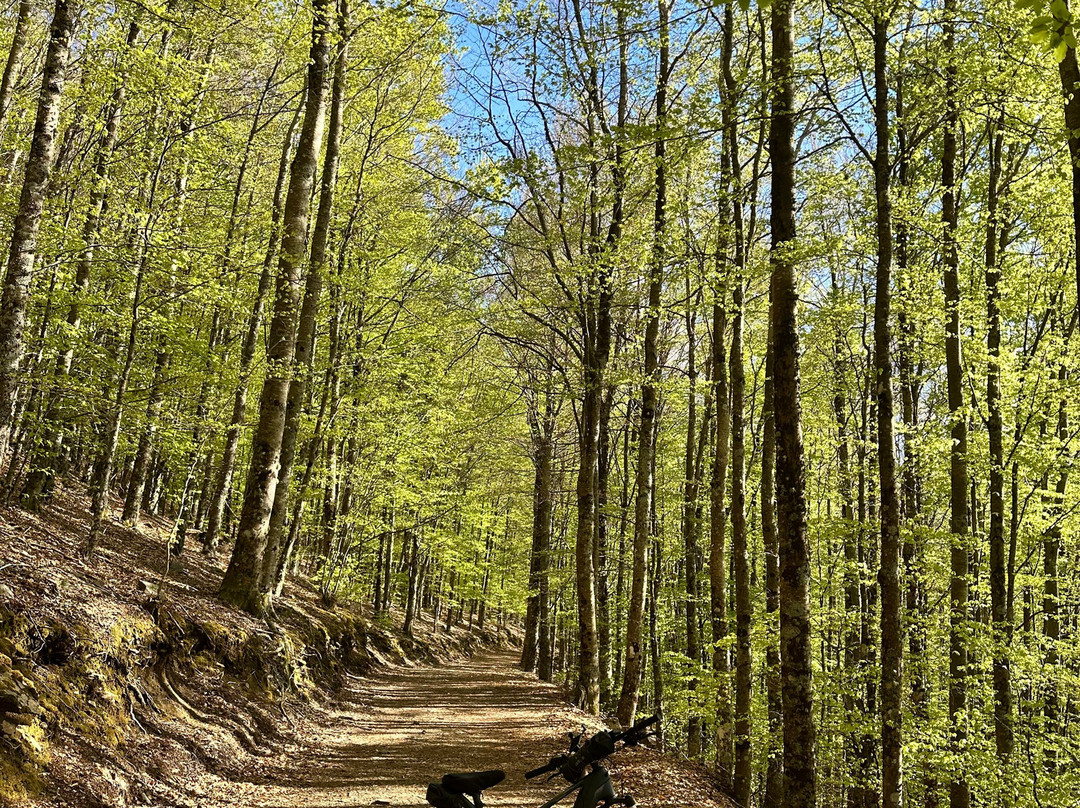 Estrela Ebike - Aluguer de Bicicletas Elétricas-Manteigas必去景点