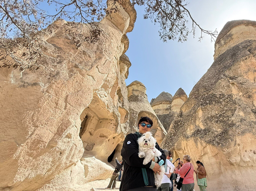 MyTrip Travel & Tourism Agency-乌奇萨必去景点