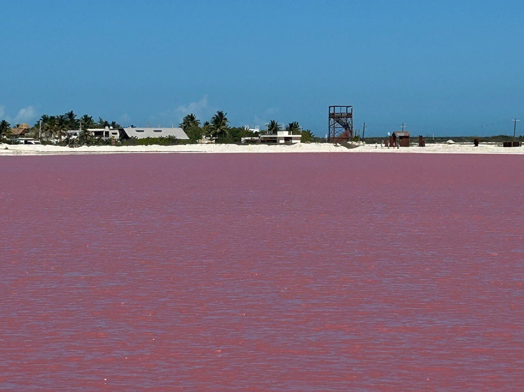 Las Coloradas-里奥拉加托斯必去景点
