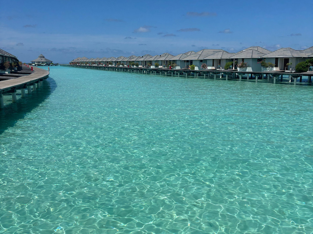 阳光岛别墅公园主图