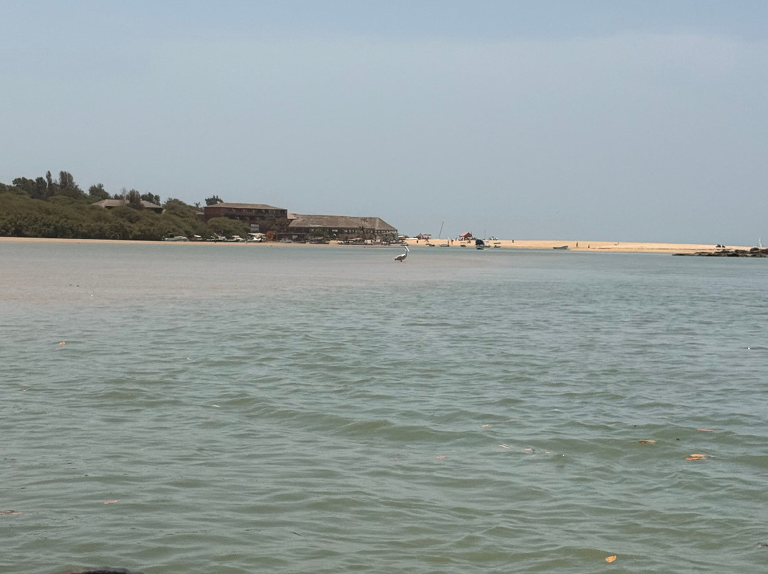 Sen Tourisme Senegal-索蒙必去景点