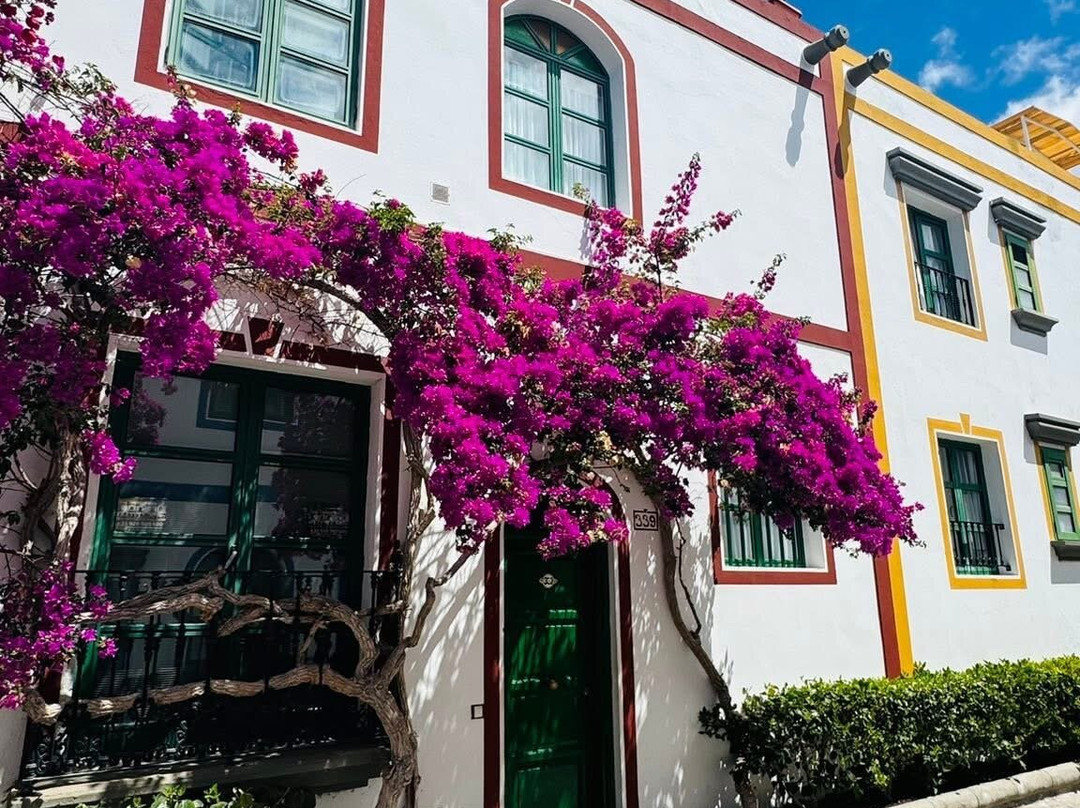 Puerto De Mogán-莫干港必去景点