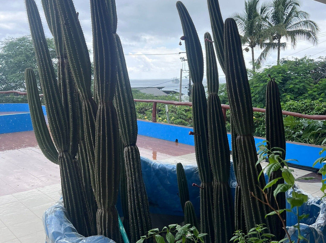 普拉亚曼海滩住宿加早餐旅馆主图