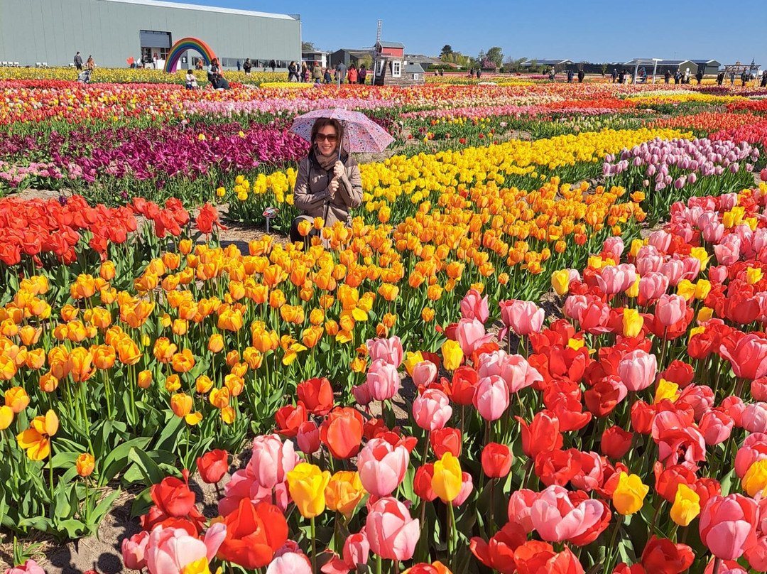 Tulip Experience Amsterdam-诺德韦克豪特必去景点