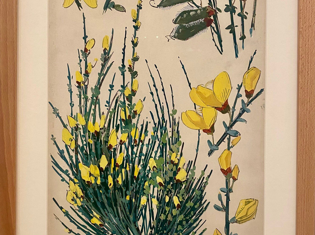 Museum Mathurin Méheut-Lamballe必去景点