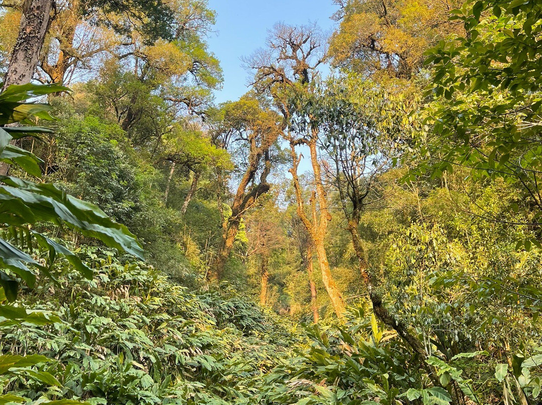 Fansipan Hiking Trips-沙巴必去景点