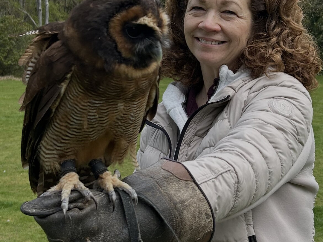 Dalhousie Castle Falconry-邦尼里格必去景点