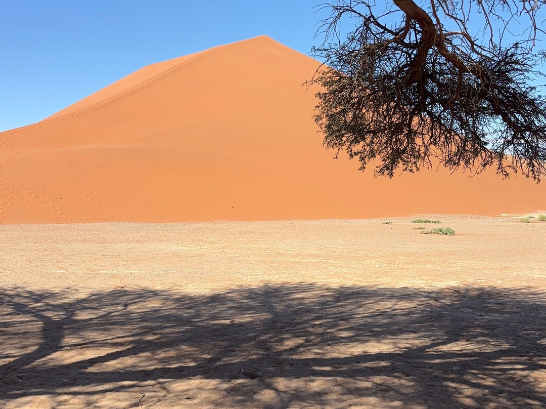 African Overland Tours-开普敦中心区必去景点