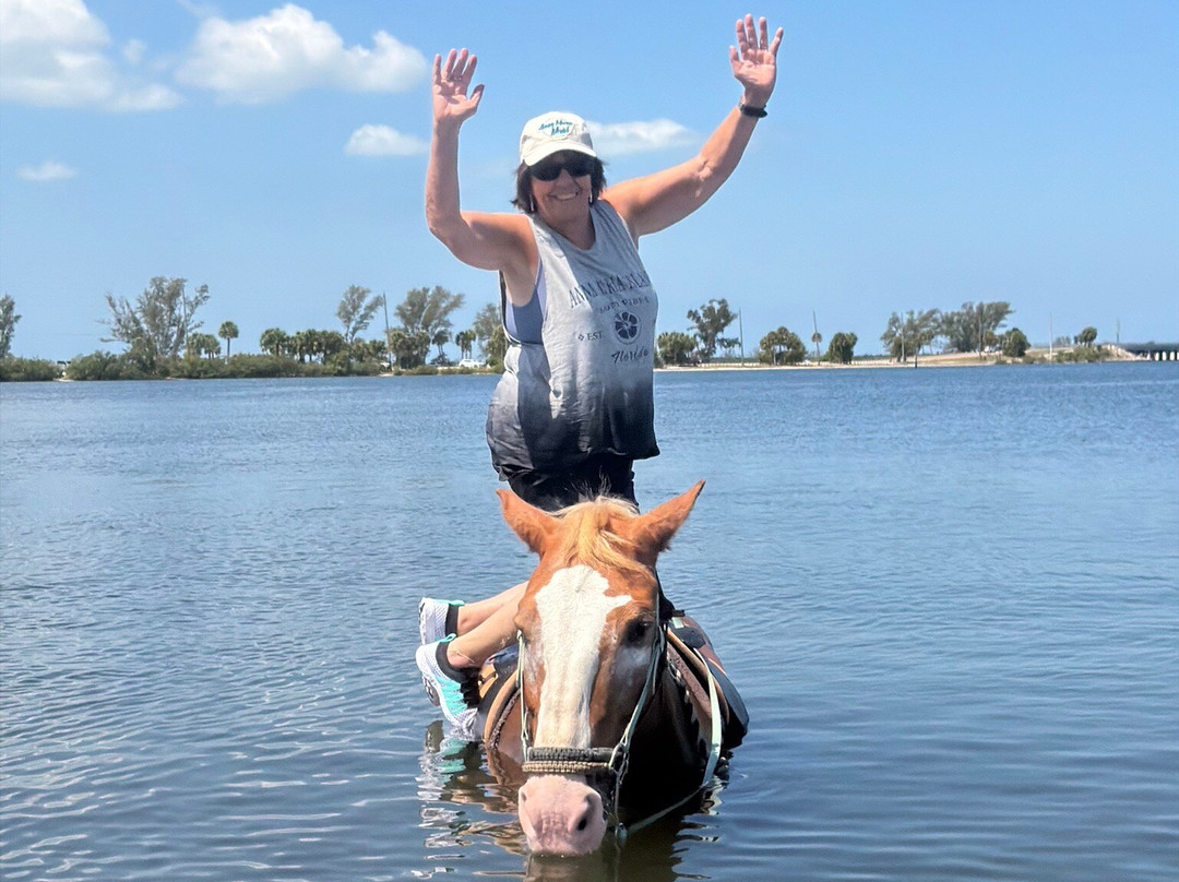Florida Beach Horses-布雷登顿必去景点