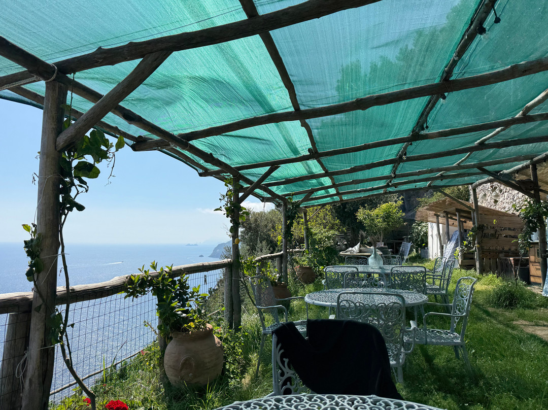 Amapola ' S Kitchen Home Restaurant