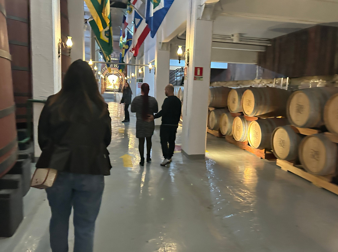 Aurora Winery-本图贡萨尔维斯必去景点