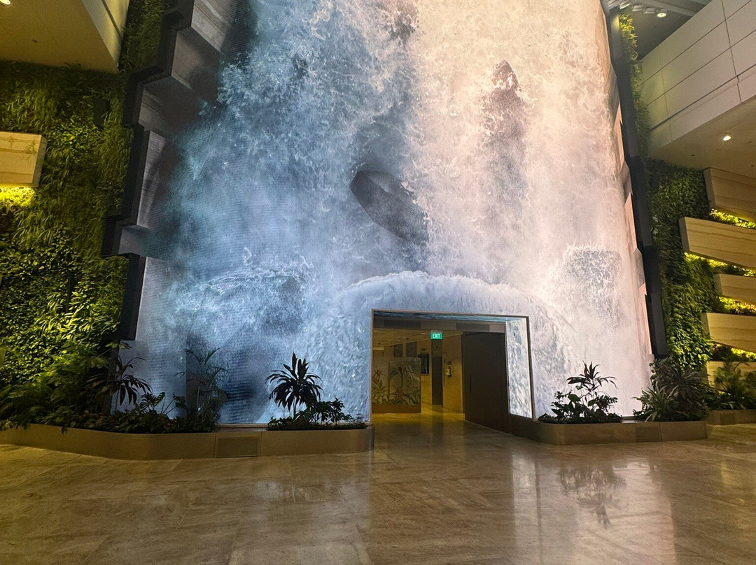 Jewel Changi Airport-新加坡必去景点