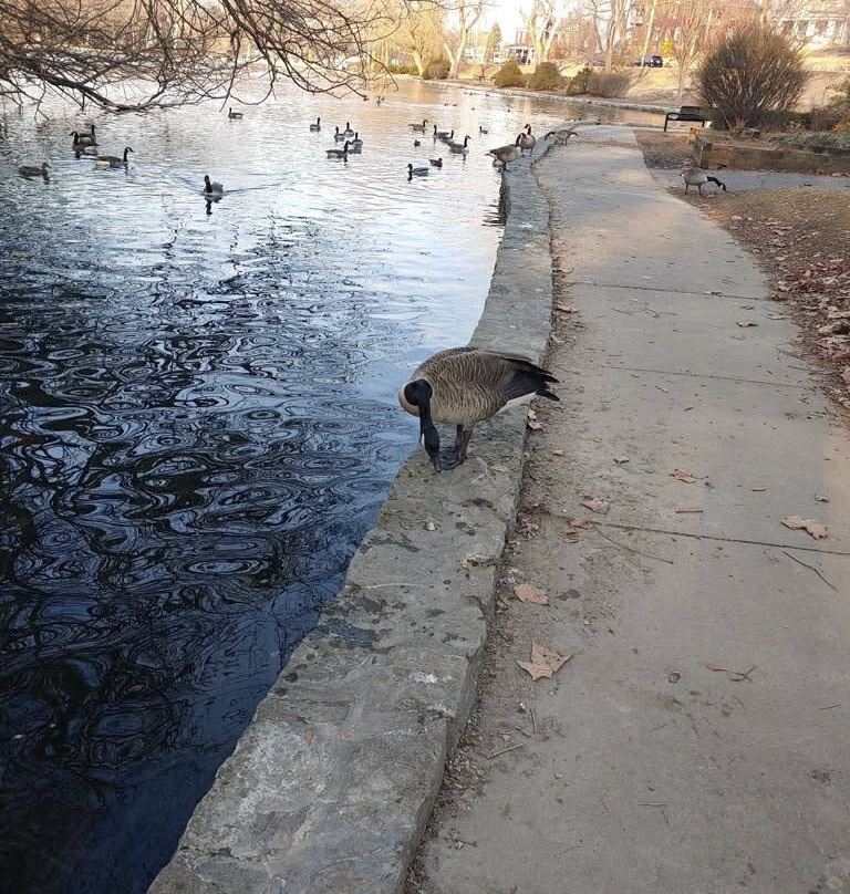 Hagerstown City Park-黑格斯敦必去景点